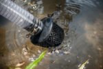 WP 230 Petrol Water Pump - Image 5